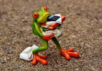 free stressed frog